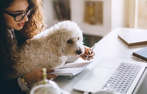 employee working with dog at desk